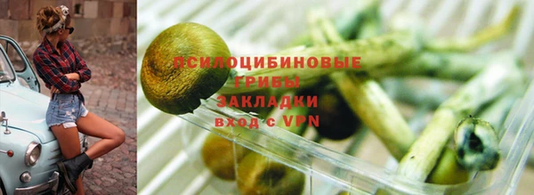 гидропоника Богородицк