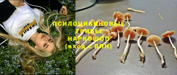 винт Богородск