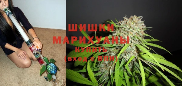 гидропоника Богородицк