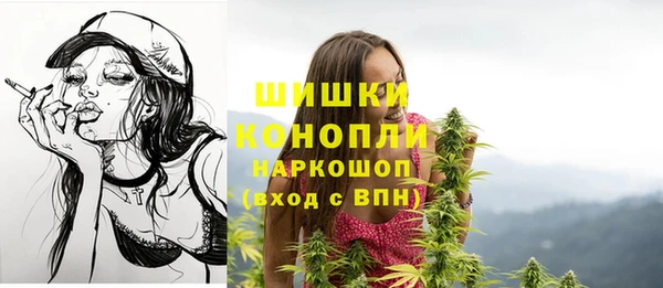 гидропоника Богородицк
