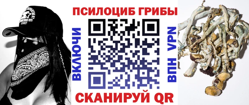 Псилоцибиновые грибы Magic Shrooms  Буйнакск 